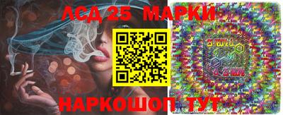spice Тара